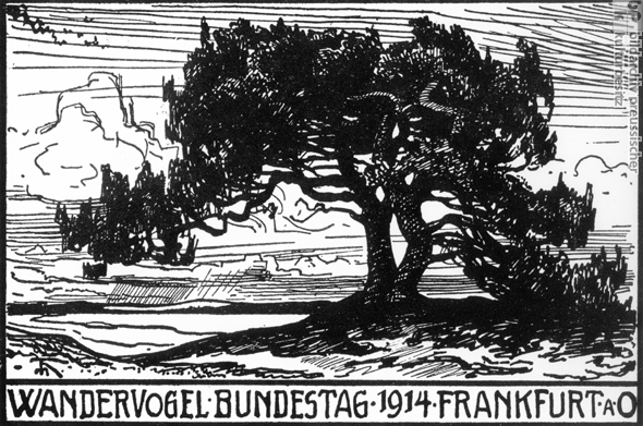 Deutsche Jugendgruppen: Die Wandervögel (1914)